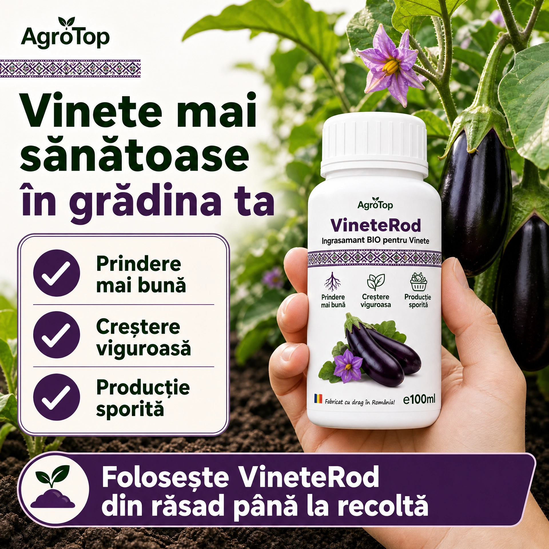 VineteRod, 100ml