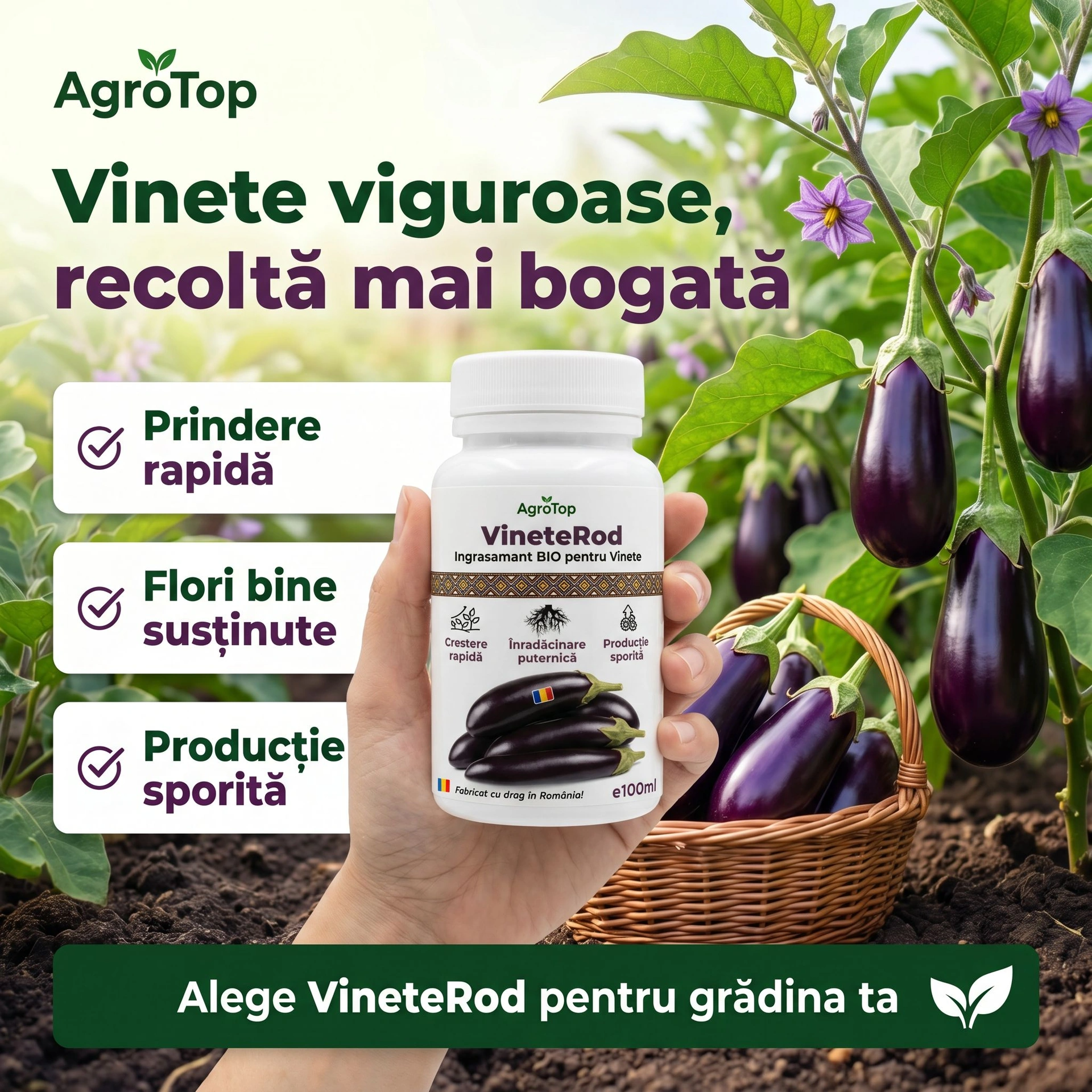 VineteRod, 100ml