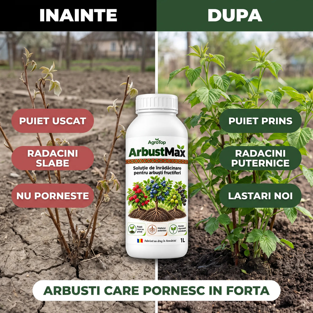 ArbustMax - Solutie inradacinare arbusti fructiferi, 1L