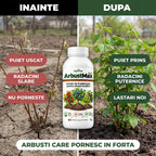 ArbustMax - Solutie inradacinare arbusti fructiferi, 1L
