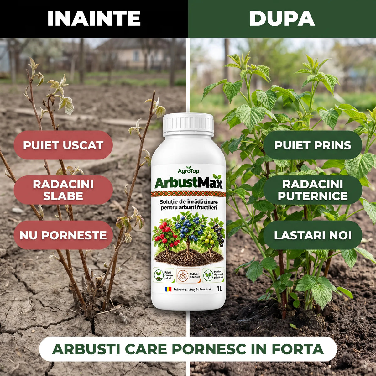 ArbustMax - Solutie inradacinare arbusti fructiferi, 1L