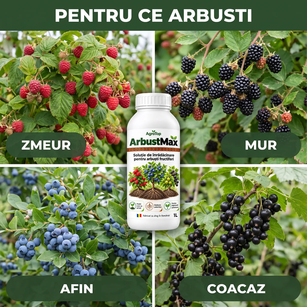 ArbustMax - Solutie inradacinare arbusti fructiferi, 1L