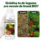 Ingrasamant BIO universal pentru legume, 1L - l