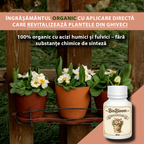 BioBloom – Explozie de flori în ghiveci, 100ml