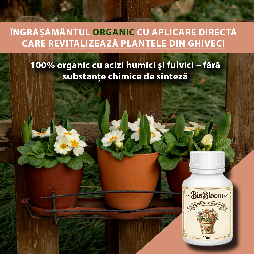 BioBloom – Explozie de flori în ghiveci, 100ml