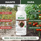 BioSol 1L buc.
