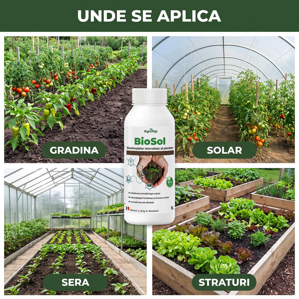 BioSol 1L buc.