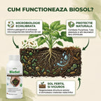 BioSol 1L - l