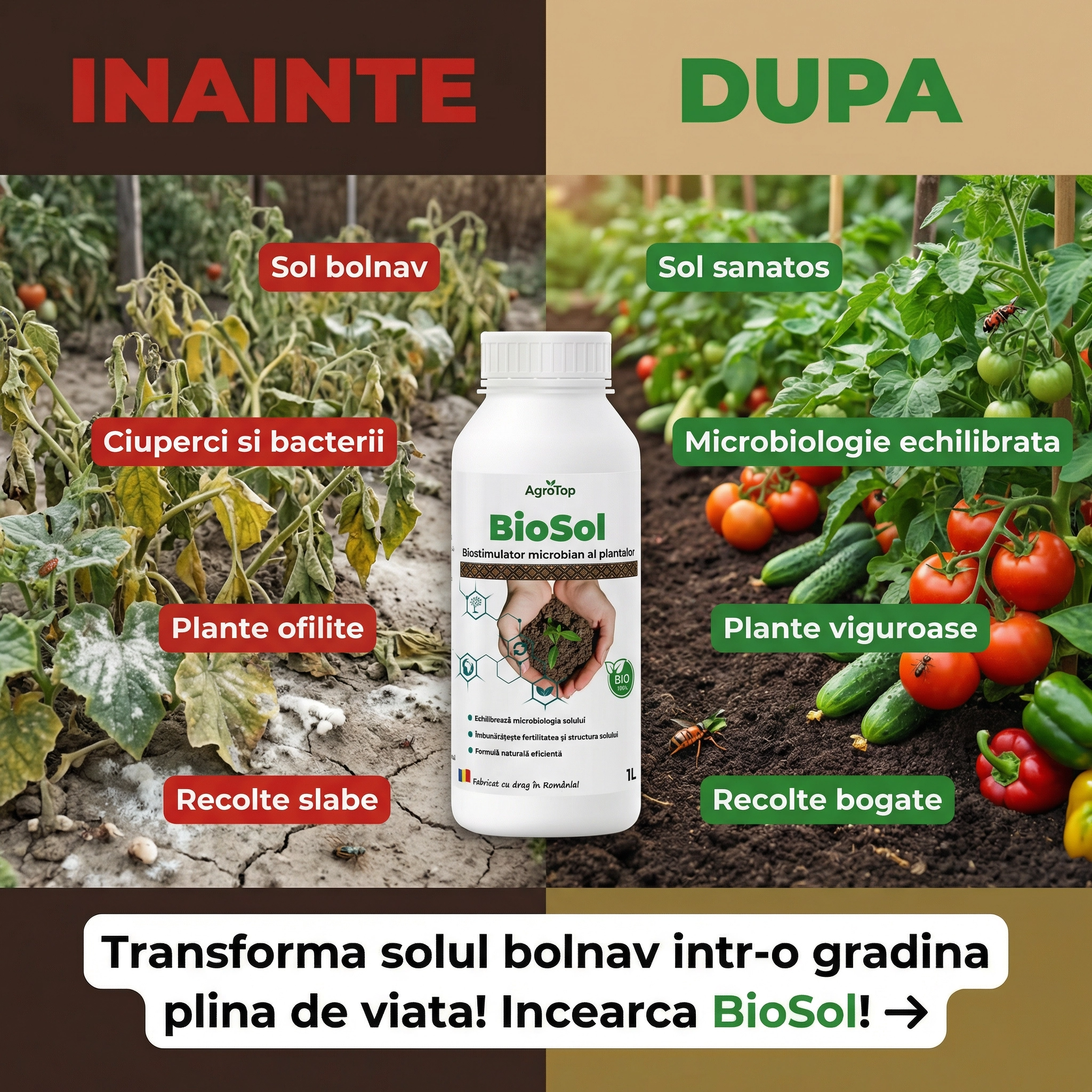 BioSol – Biostimulator pentru Solarii și Grădină, 1L