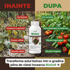 BioSol 1L - l