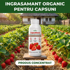 CapsuBoost, 1L