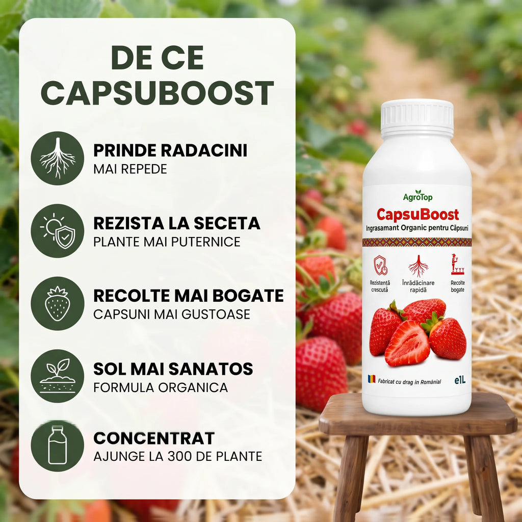 CapsuBoost, 1L