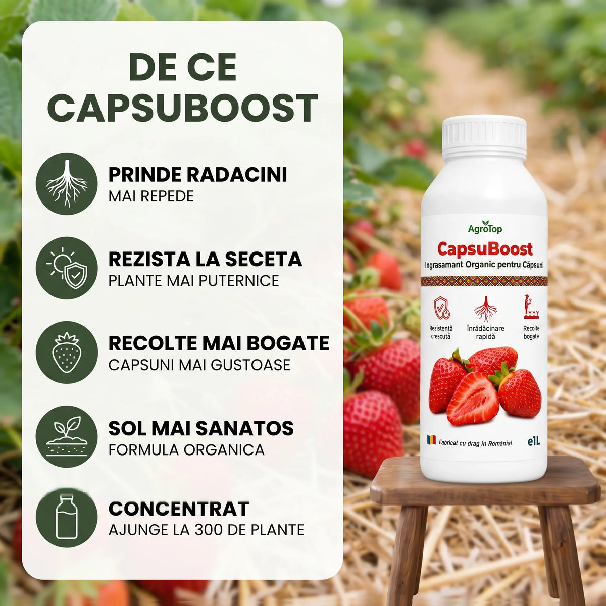 CapsuBoost, 1L