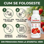 CapsuBoost, 1L