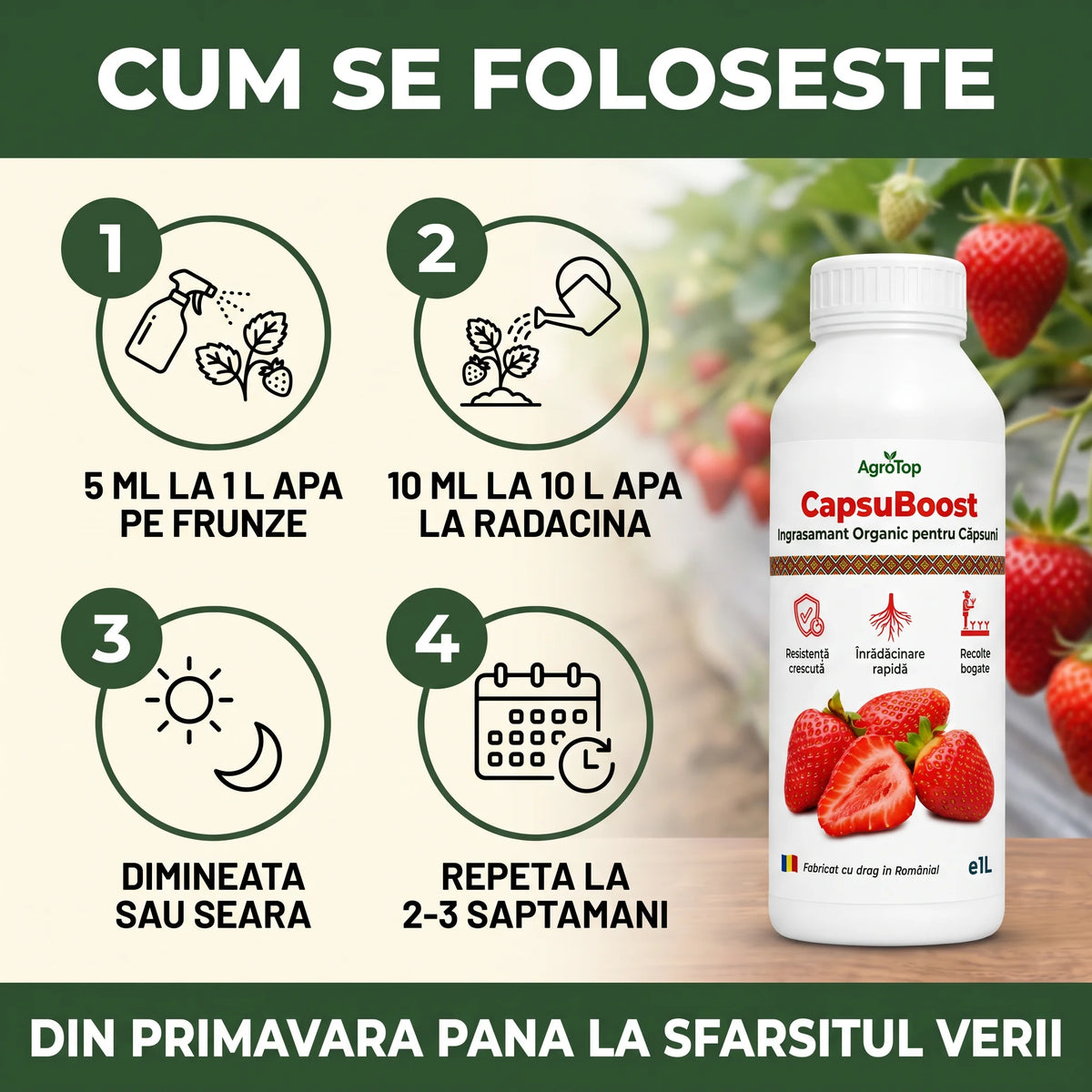 CapsuBoost, 1L