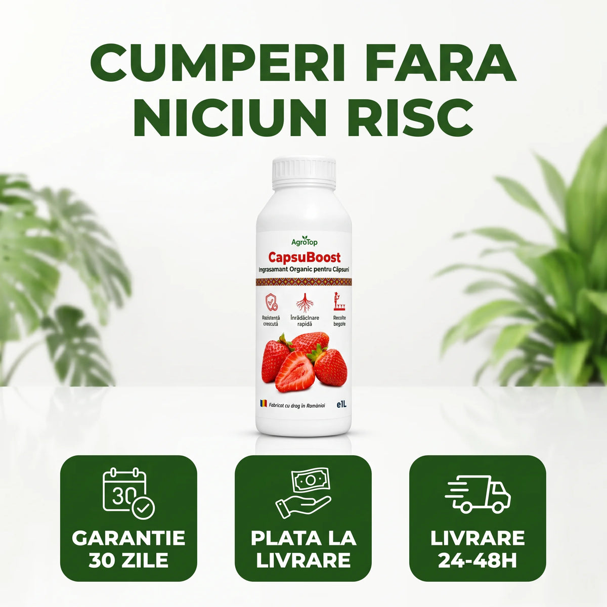 CapsuBoost, 1L