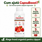 CapsuBoost, 1L - l