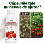 CapsuBoost, 1L - l