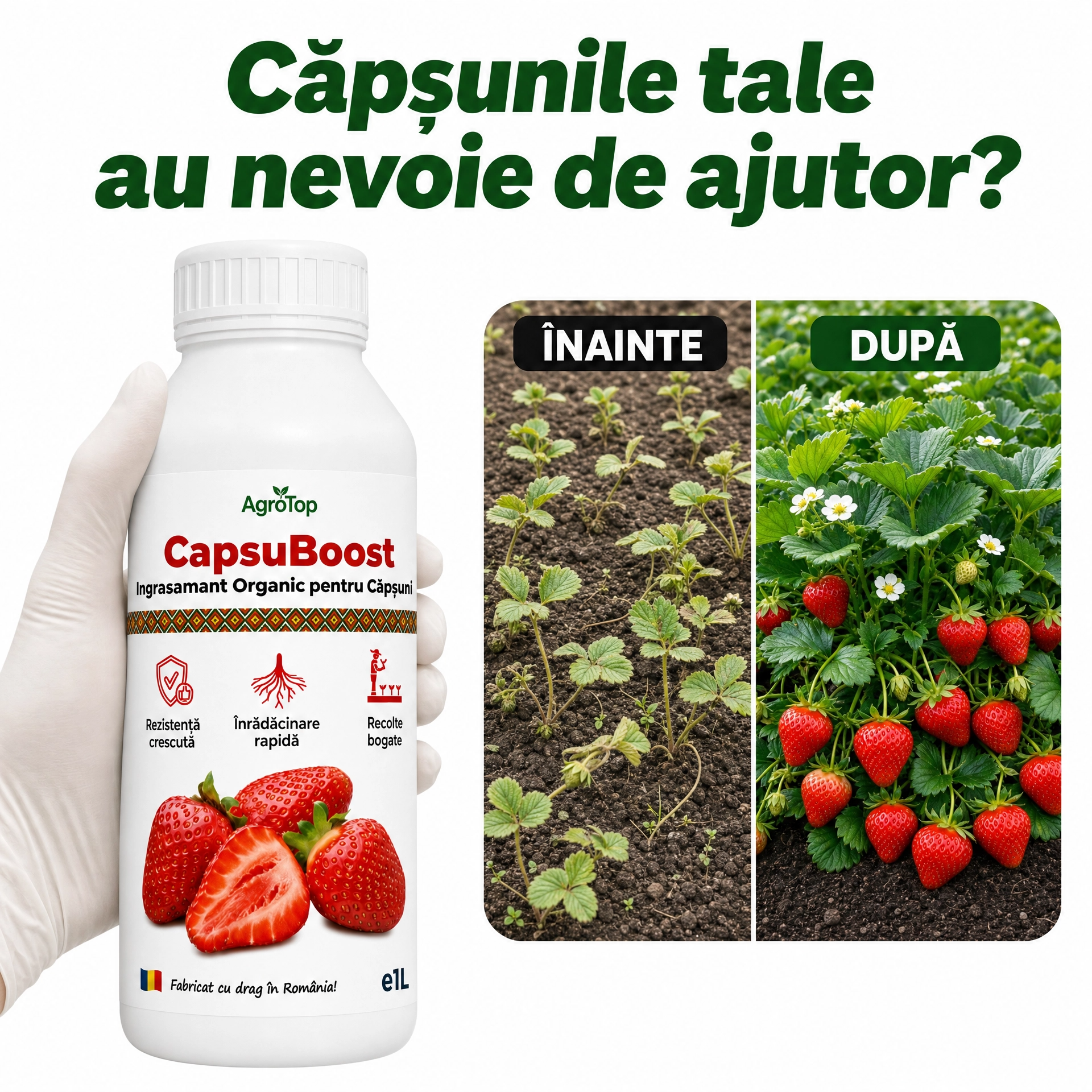 CapsuBoost, 1L - l