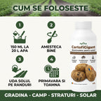 CartofiGigant, 1L buc.