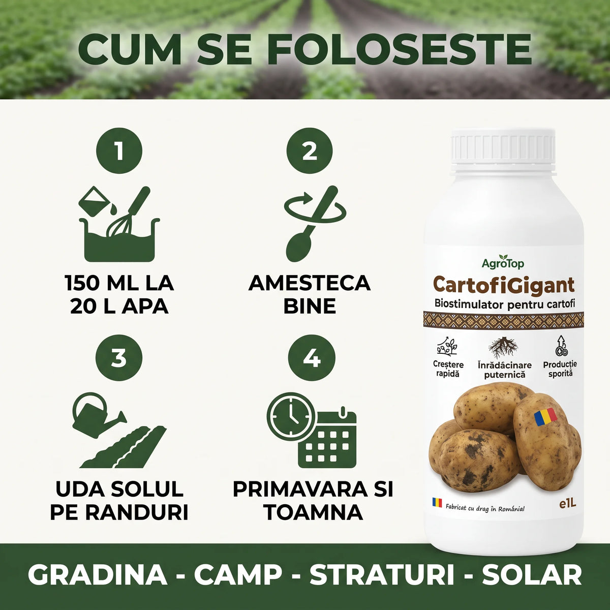 CartofiGigant, 1L buc.