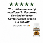 CartofiGigant, 100ml buc.