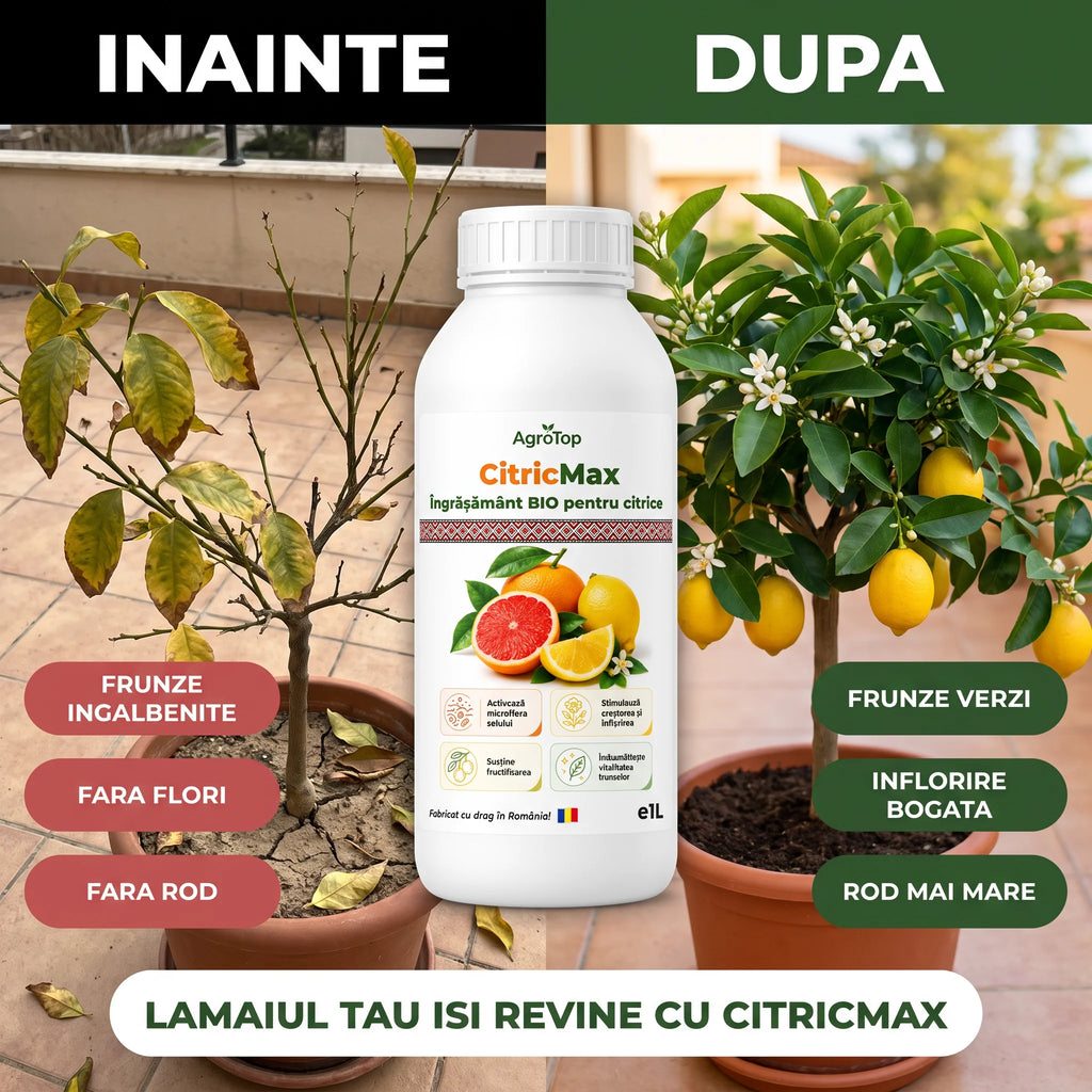 CitricMax -  Îngrășământ BIO pentru citrice, 1L