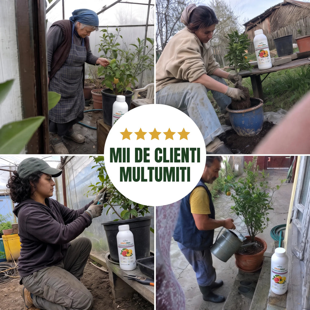 CitricMax -  Îngrășământ BIO pentru citrice, 1L