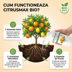 Îngrășământ Bio și Stimulator pentru Citrice, Protecție & Creștere, 1L