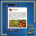 COROPISAN FORTE - Insecticid contact coropisnite, 50g