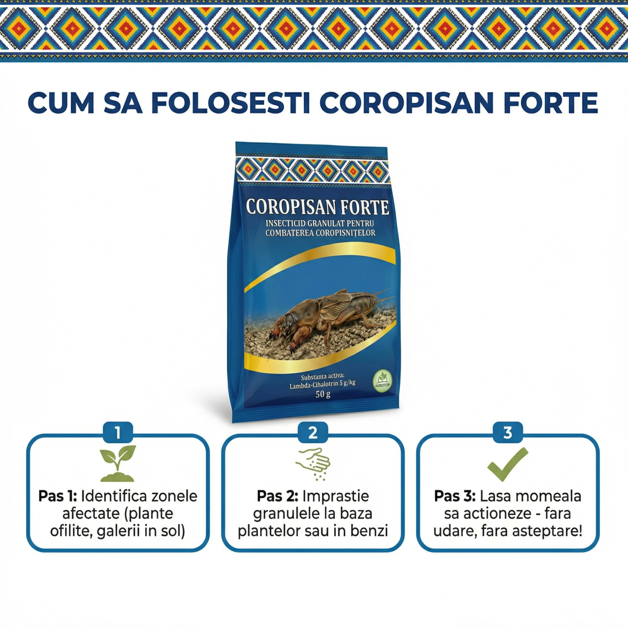 COROPISAN FORTE - Insecticid contact coropisnite, 50g