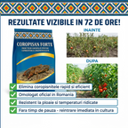 COROPISAN FORTE - Insecticid contact coropisnite, 50g