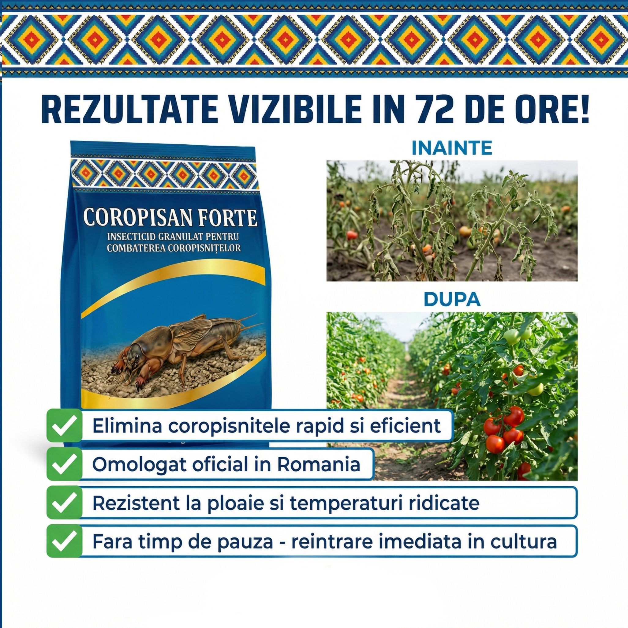 COROPISAN FORTE - Insecticid contact coropisnite, 50g