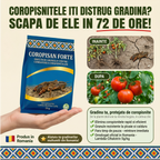 COROPISAN FORTE - Insecticid contact coropisnite, 50g