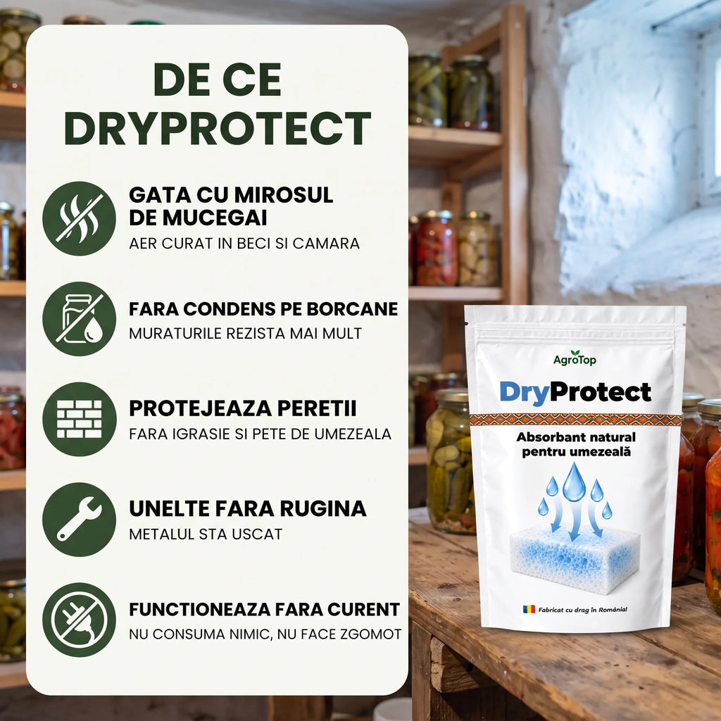 DryProtect - Protectie impotriva excesului de umiditate