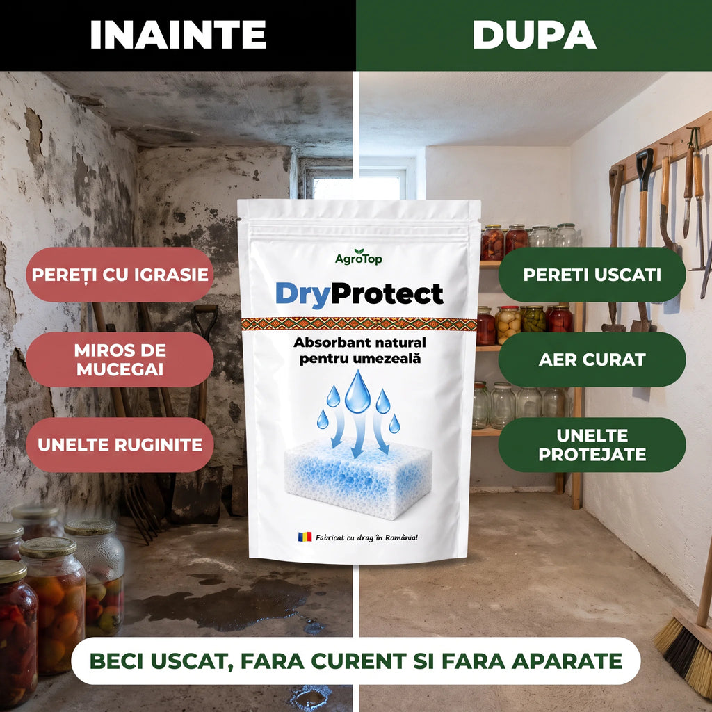 DryProtect - Protectie impotriva excesului de umiditate