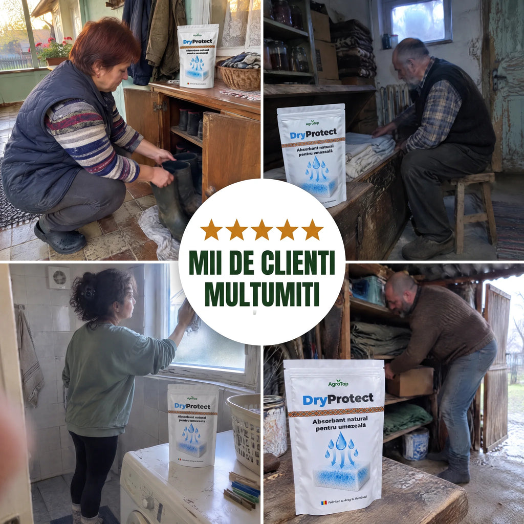 DryProtect - Protectie impotriva excesului de umiditate