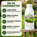 GazonActiv - Ingrasamant BIO pentru gazon, 1L