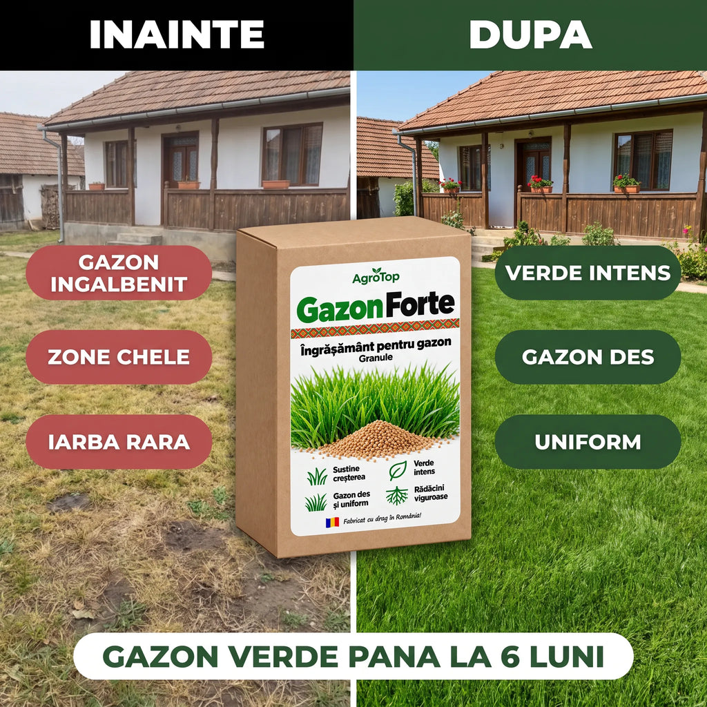 GazonForte - Ingrasamant pentru gazon granule, 1.5KG