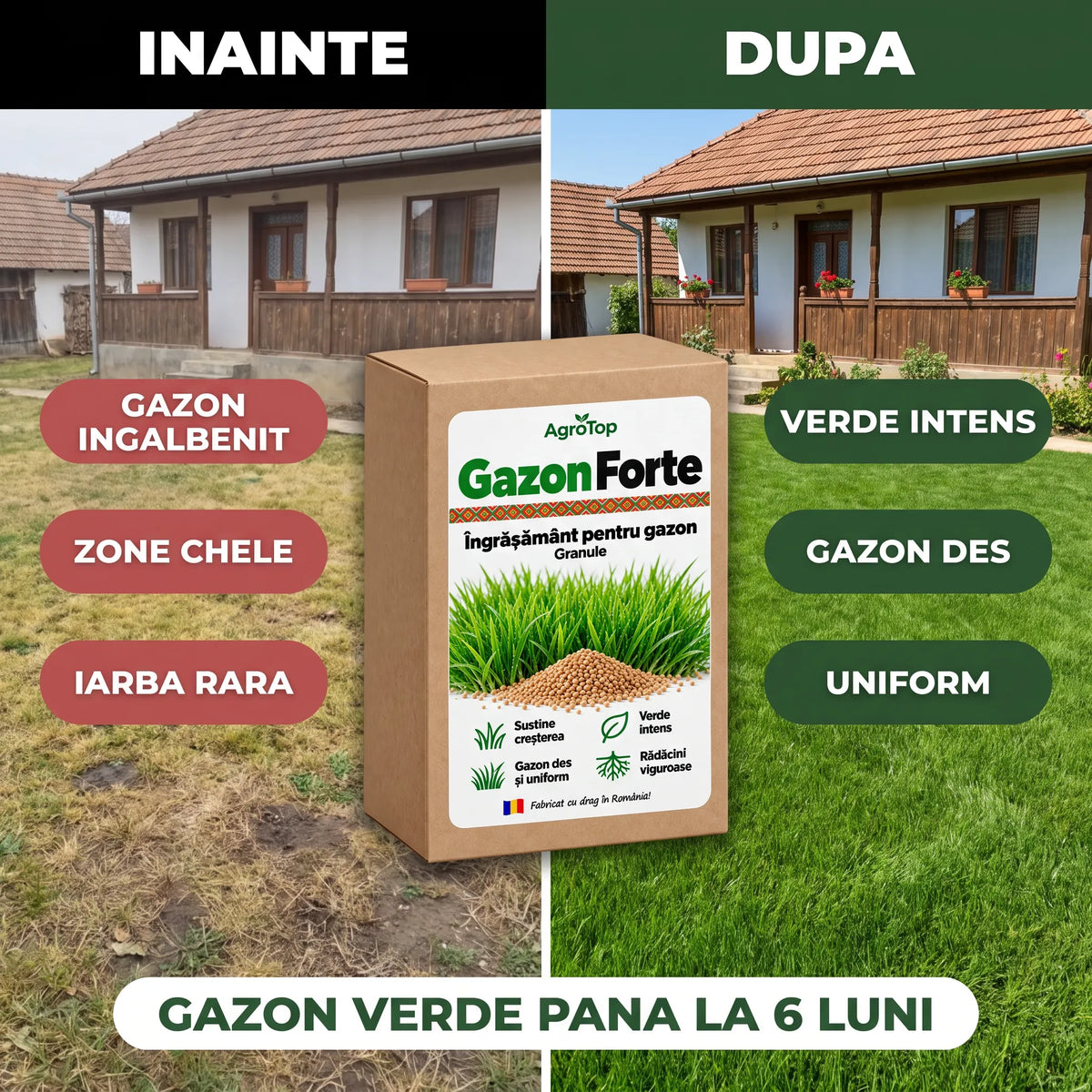 GazonForte - Ingrasamant pentru gazon granule, 1.5KG