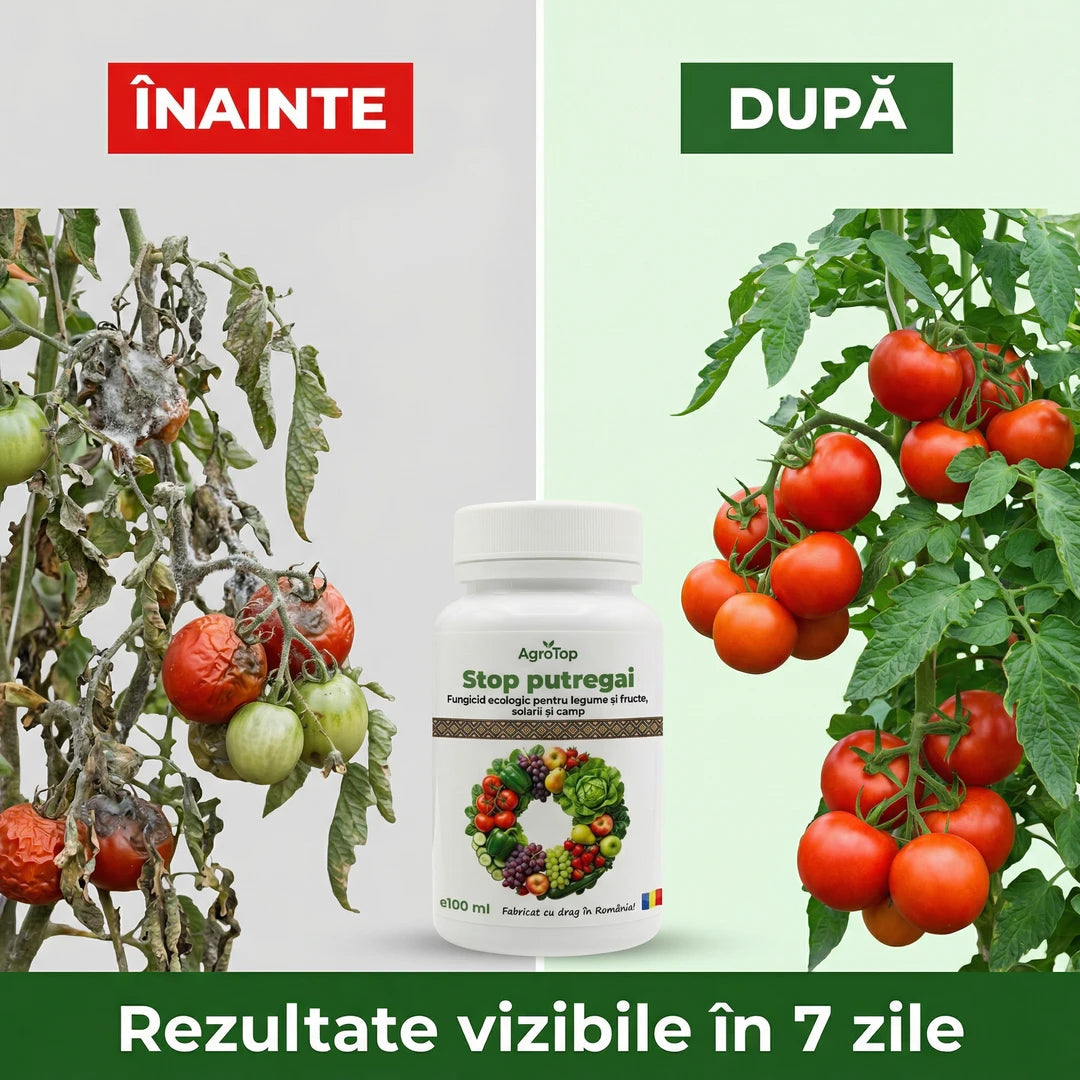 Stop Putregai, 100ml