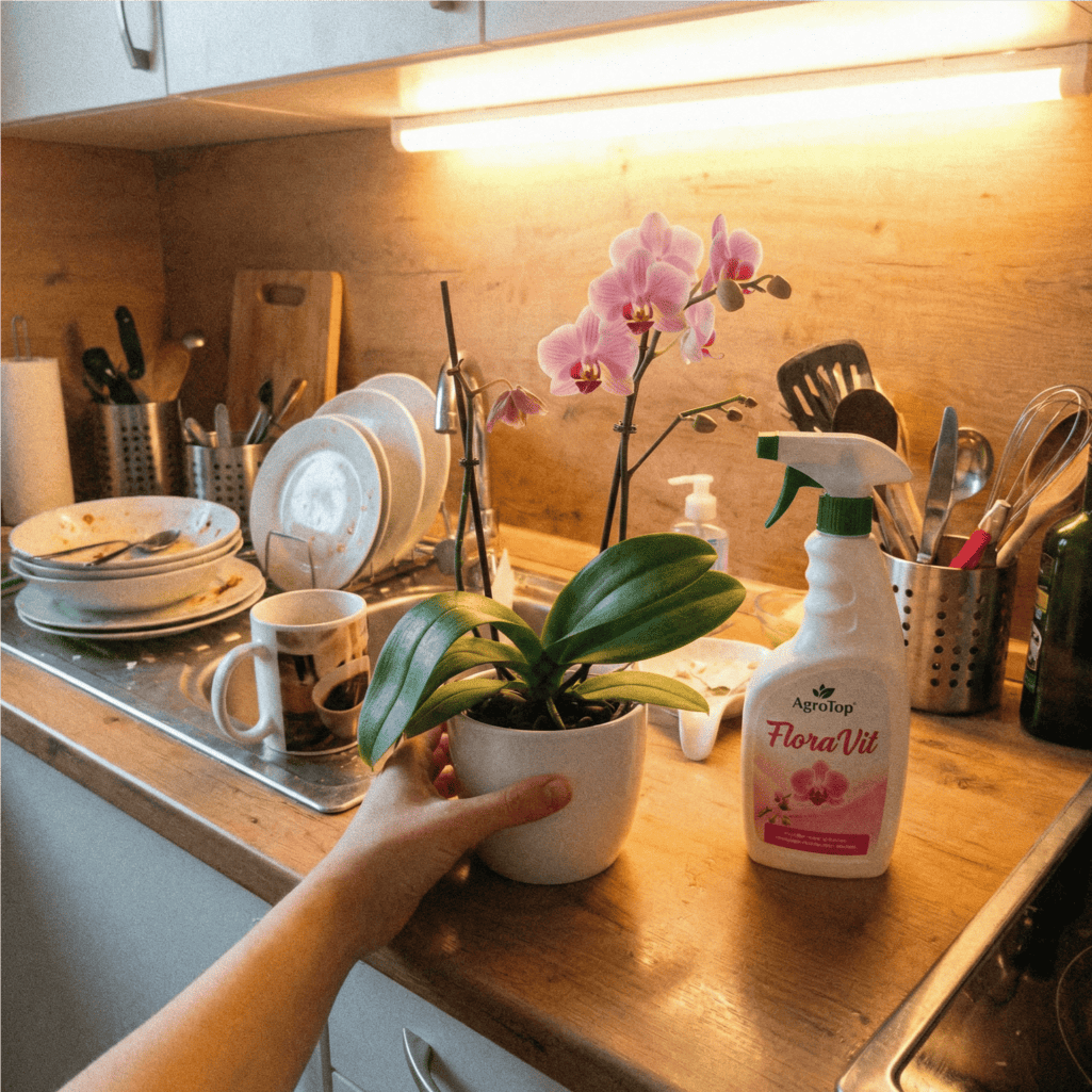 Îngrășământ Bio pentru Orhidee, Tratament pentru Rădăcini și Frunze, 500 ml