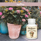 BioBloom – Explozie de flori în ghiveci, 100ml