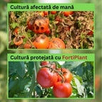 FortiPlant – Fungicid ecologic pentru legume si fructe, solarii si camp, 100ml