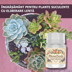 FlowerCandy - Ingrasamant pentru plante suculente cu eliberare lenta, 5g