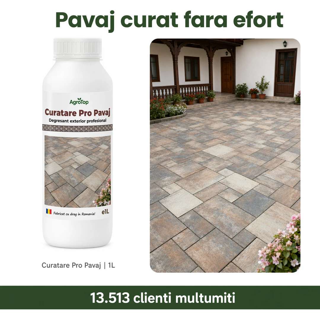 (failed) Curatare Pro Pavaj, 1L