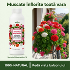 (failed) Secretul Muscatelor