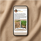 Seminte Alune de pamant cu coaja, Arahide