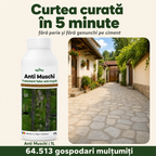 (failed) Anti Muschi, 1L