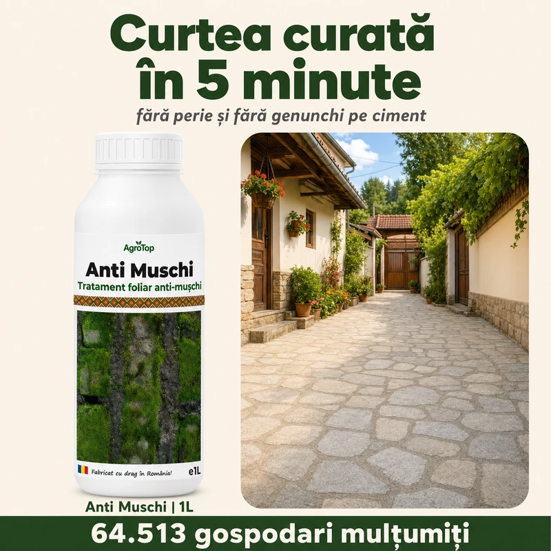 (failed) Anti Muschi, 1L